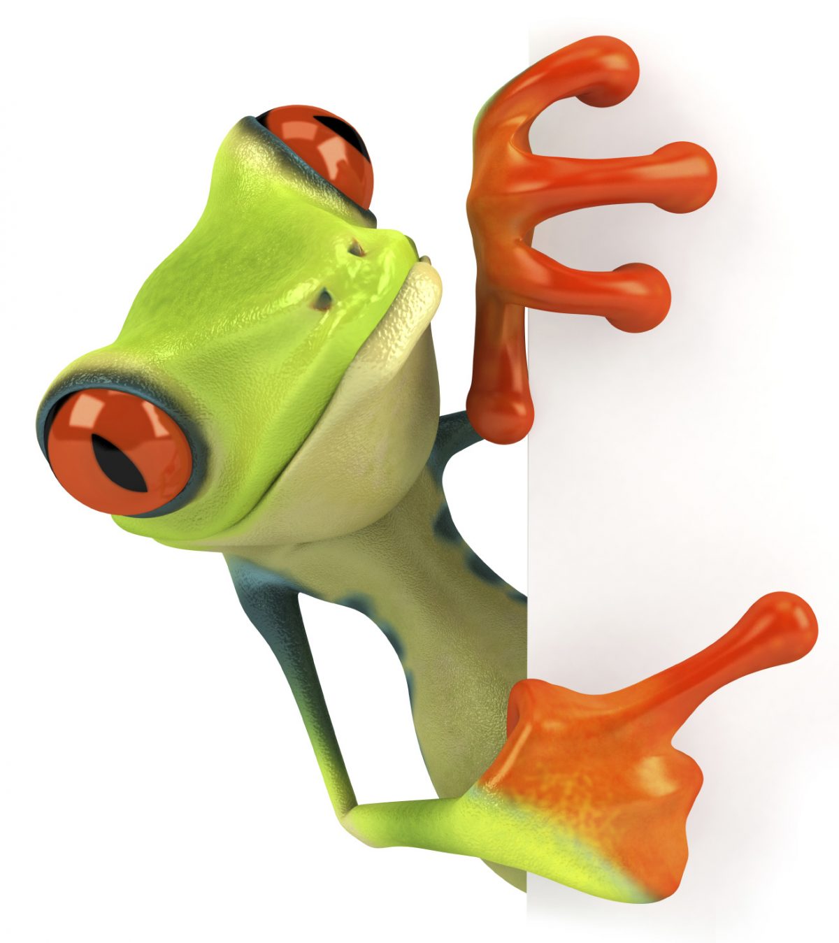 Frog pointing - Frog Financial Management